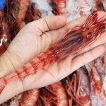 cómo conservar marisco