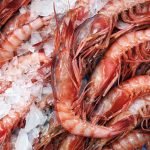 tipos de gambas