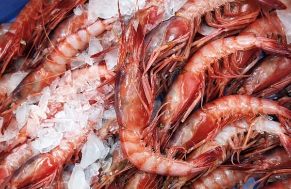 tipos de gambas
